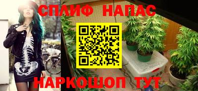 спиды Бузулук