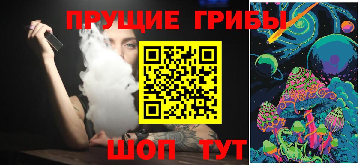 Псилоцибиновые грибы Psilocybe Орск