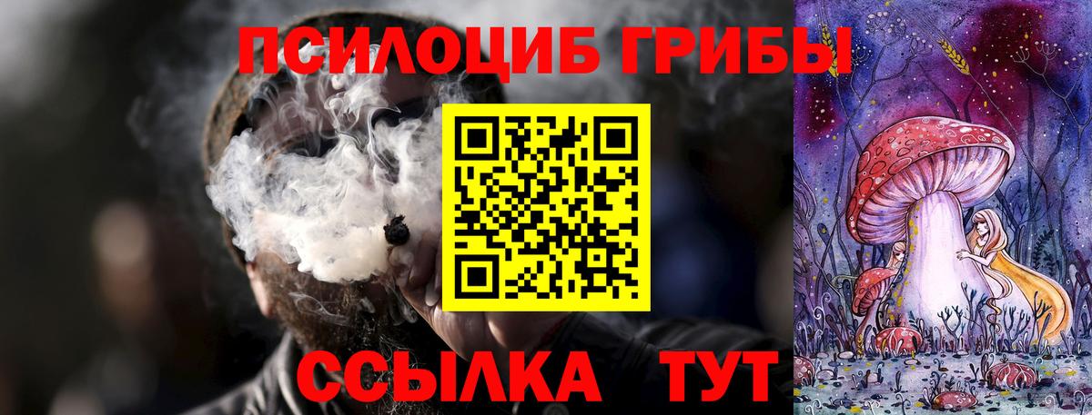 Орск  Псилоцибиновые грибы мицелий  Вход с VPN  Псилоцибиновые грибы Cubensis 